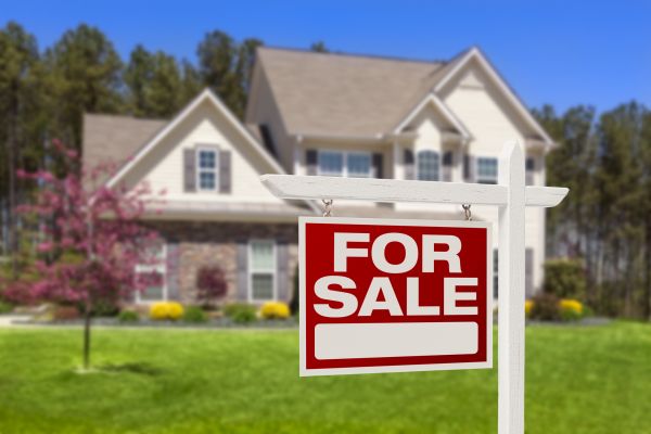Flagstaff Real Estate
