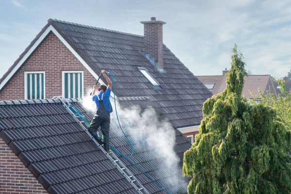 Flagstaff Roof Cleaning