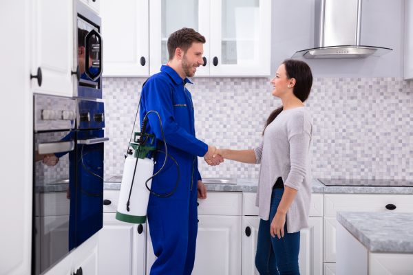 Flagstaff Pest Control Service