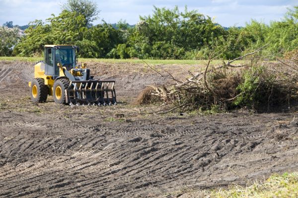 Flagstaff Land Clearing