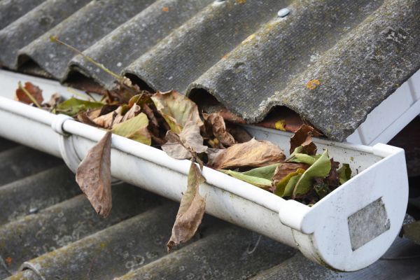 Flagstaff Gutter Cleaning